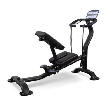 BRONZE GYM BR-1006    - V-SPORT   ARMSSPORT