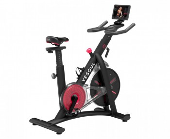 ������������ Yesoul BS3-B PRO - V-SPORT ��������� ���� ARMSSPORT