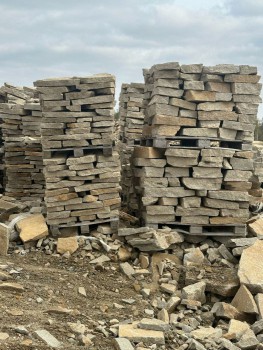 ��������� ������ ������ ���������� - V-SPORT ��������� ���� ARMSSPORT